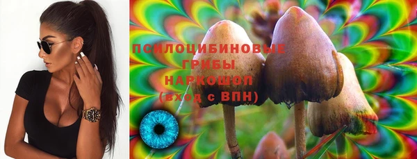 mdma Зеленокумск