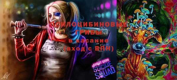 мяу мяу кристалл Лихославль