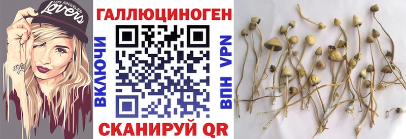 Галлюциногенные грибы мухоморы Козельск